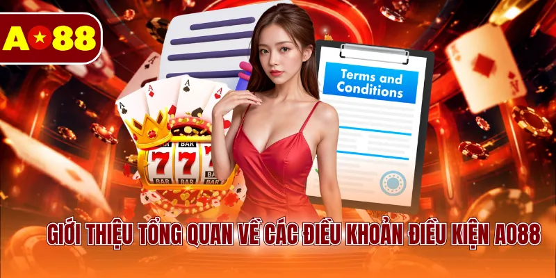 Giới thiệu tổng quan về các điều khoản điều kiện AO88